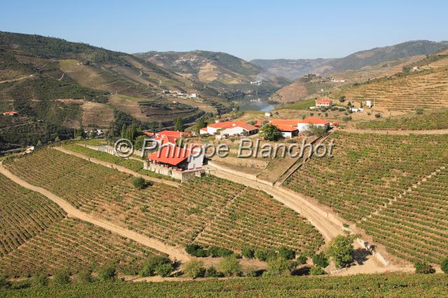 portugal douro 01.JPG - Domaine Quinta Nova, Covas do DouroVallée du Douro, Portugal